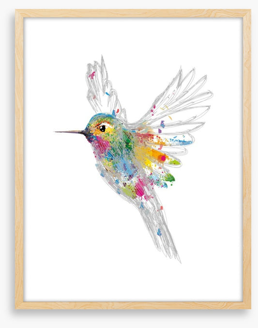 Rainbow honey-eater