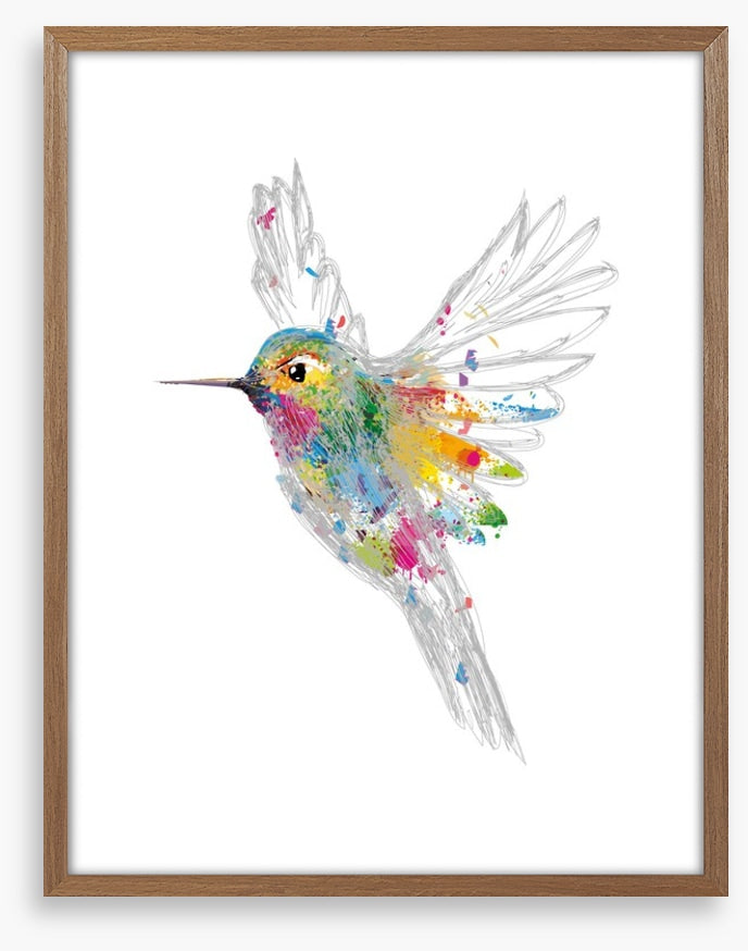 Rainbow honey-eater