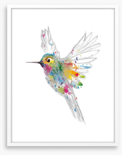 Rainbow honey-eater