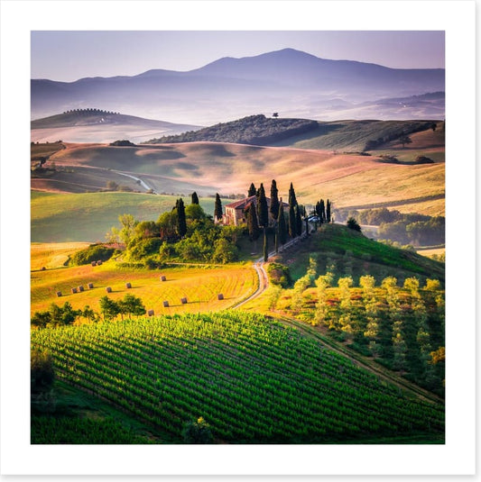 Hills of Val d'Orcia