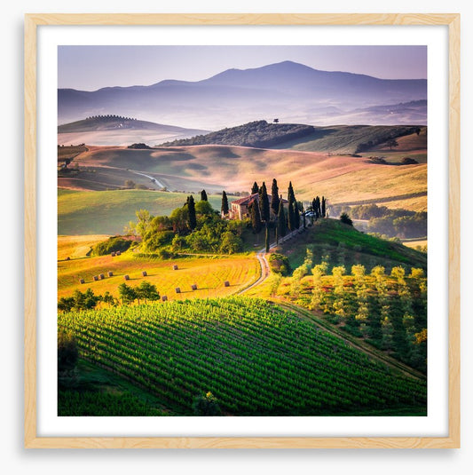 Hills of Val d'Orcia
