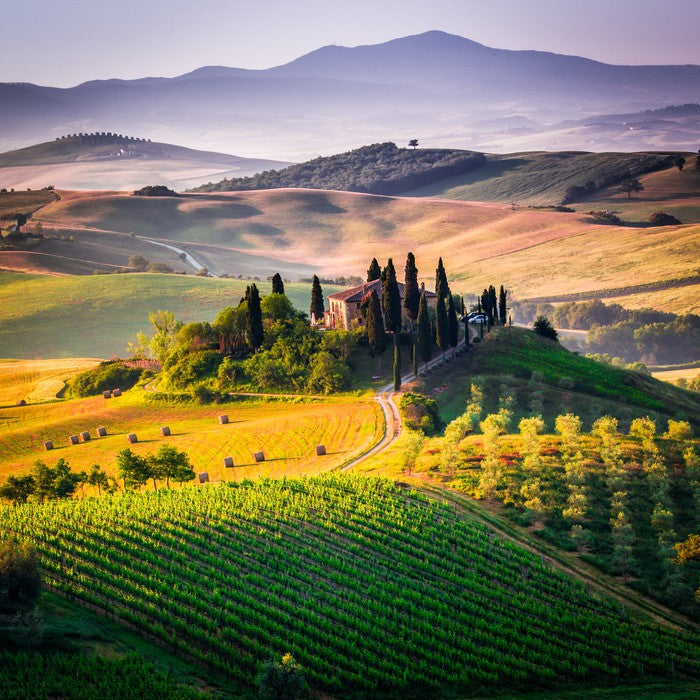 Hills of Val d'Orcia