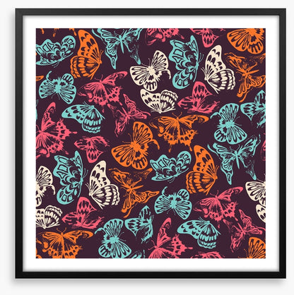 Butterflies