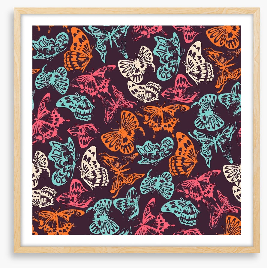 Butterflies