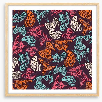 Butterflies