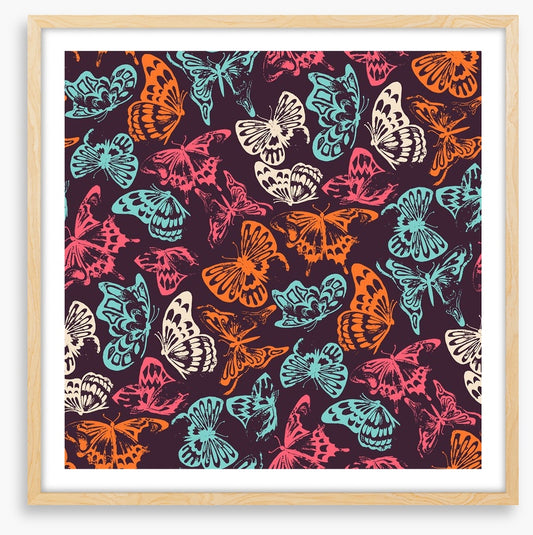 Butterflies