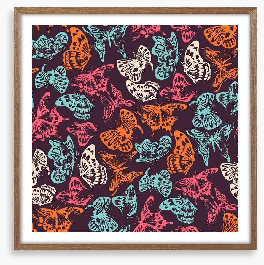 Butterflies