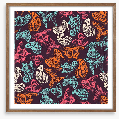 Butterflies