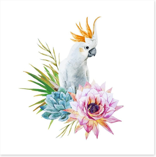 Cockatoo grove