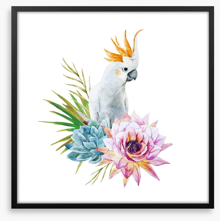 Cockatoo grove