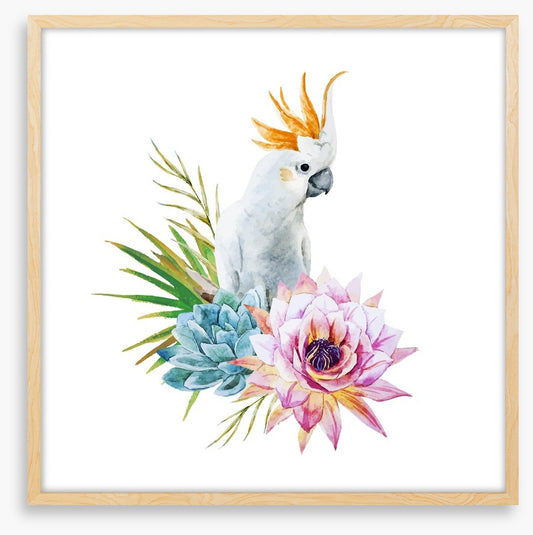 Cockatoo grove