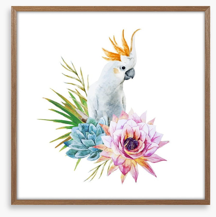 Cockatoo grove