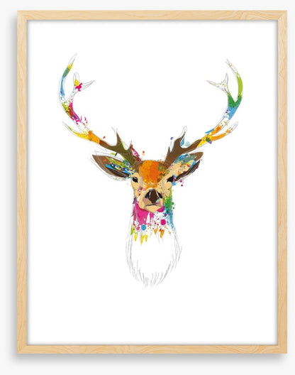 Deer oh deer