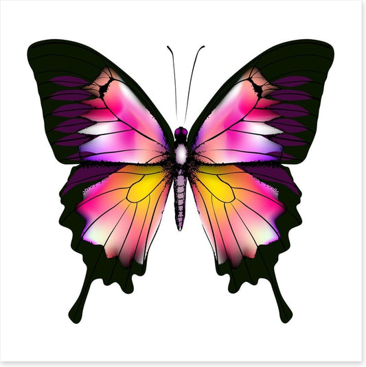 Butterflies