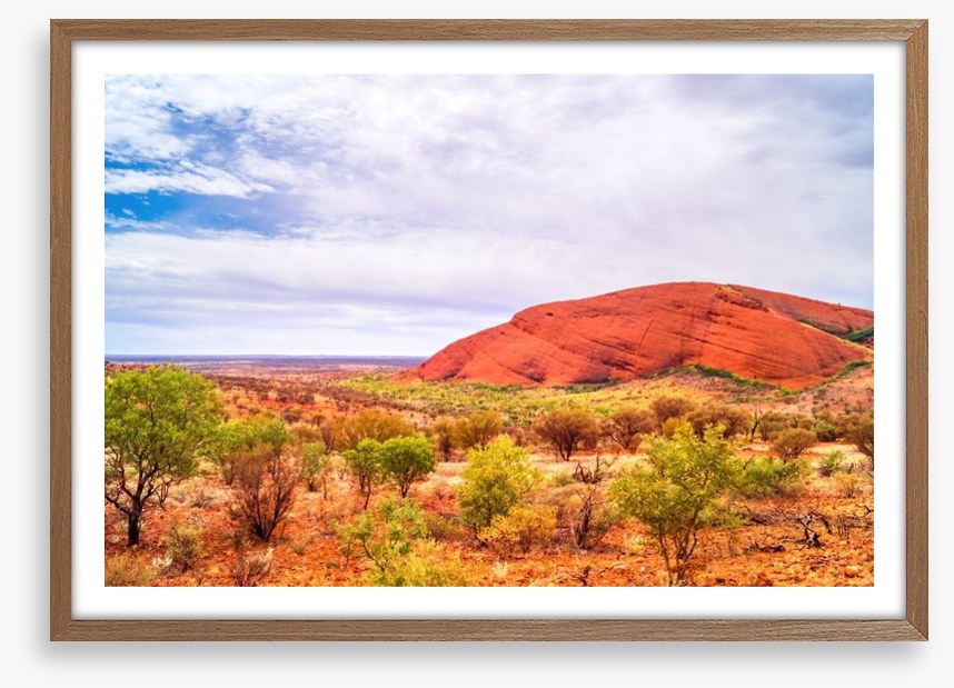 Outback