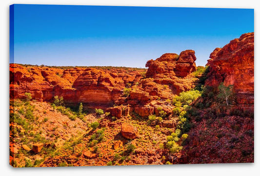 Red earth wilderness