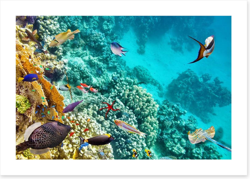World under water