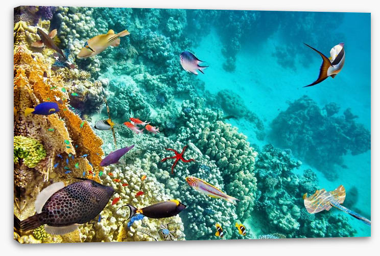 World under water
