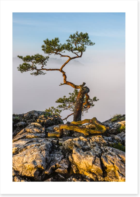 Alone at the top