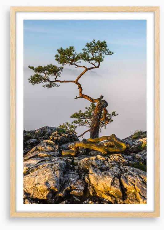 Alone at the top