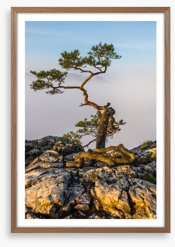 Alone at the top