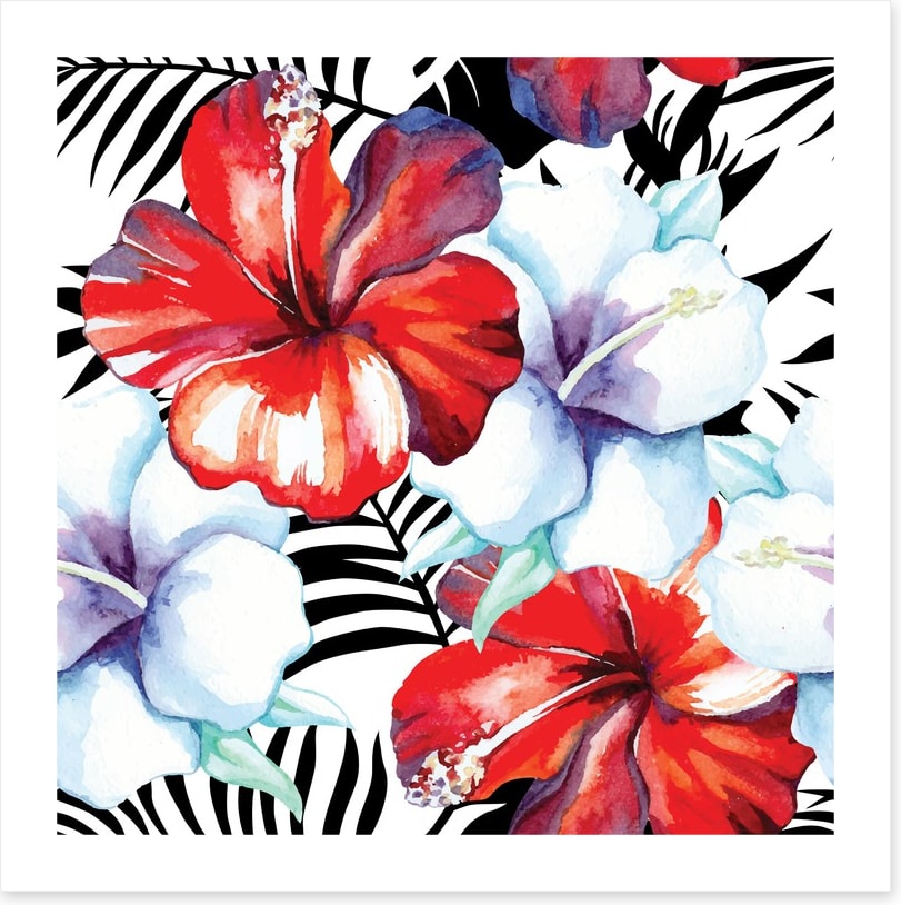 Hibiscus palm