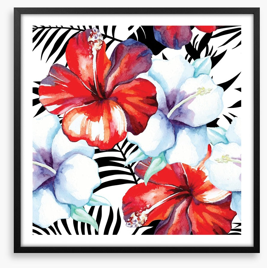Hibiscus palm