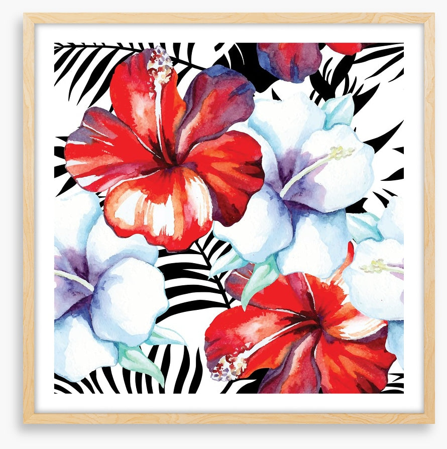 Hibiscus palm