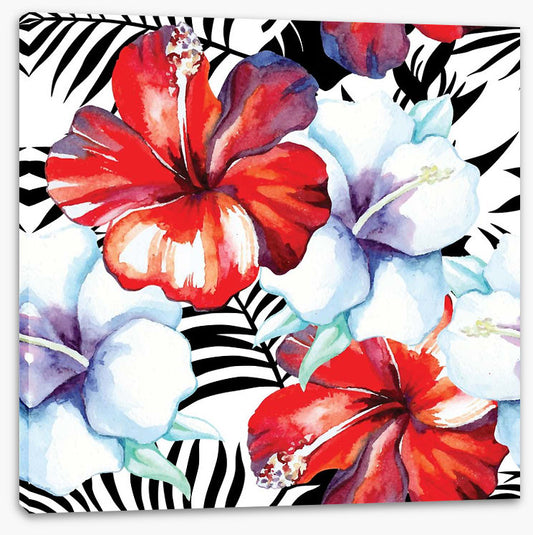 Hibiscus palm
