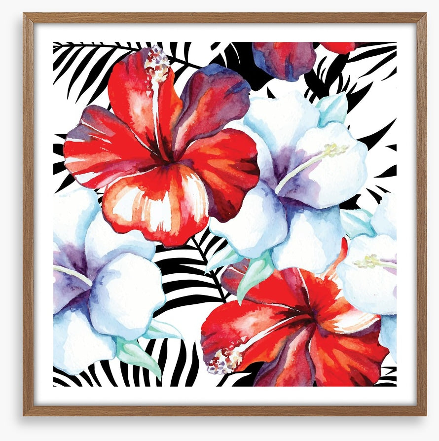Hibiscus palm