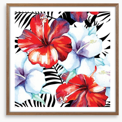 Hibiscus palm