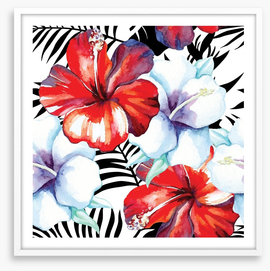 Hibiscus palm