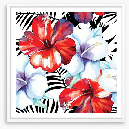 Hibiscus palm
