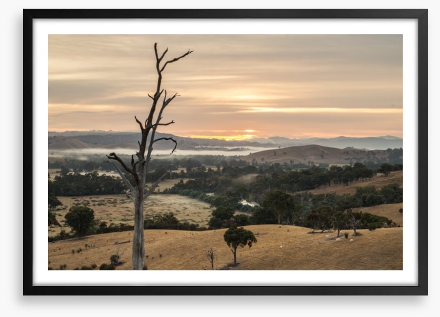 Dawn in the Goulburn River valley