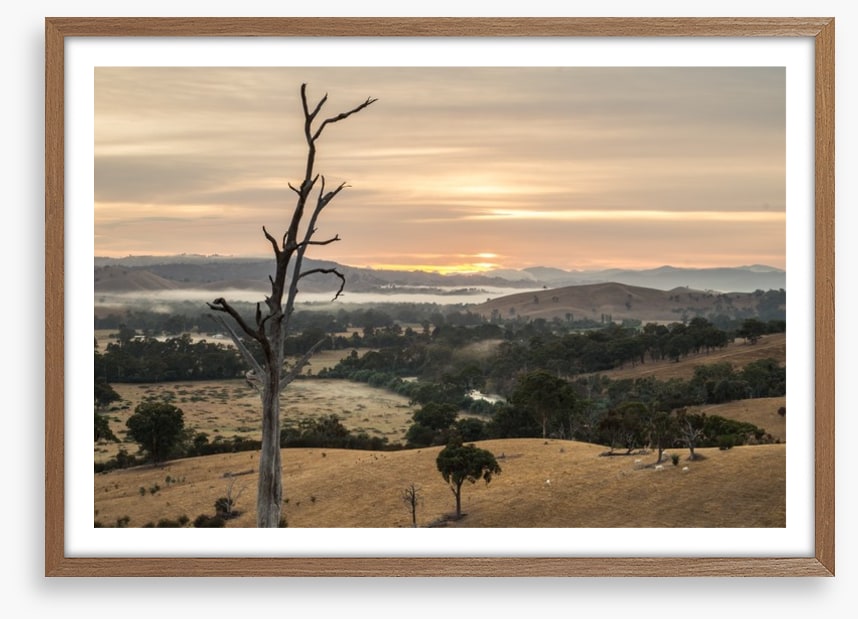 Dawn in the Goulburn River valley