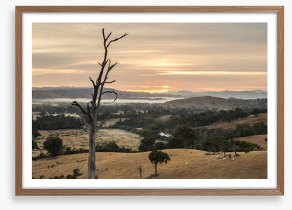 Dawn in the Goulburn River valley