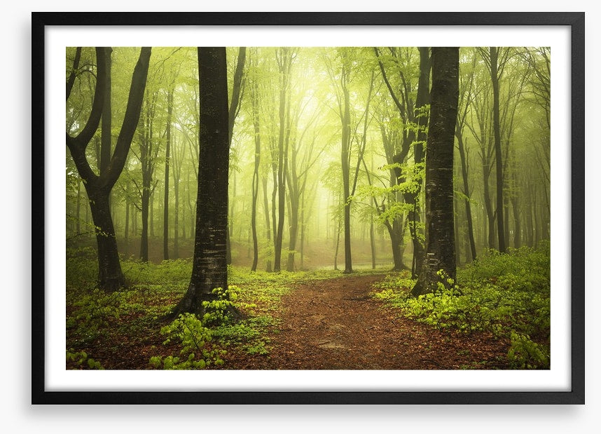 Between two trees