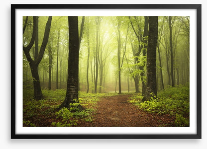 Between two trees