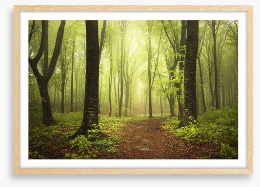Between two trees