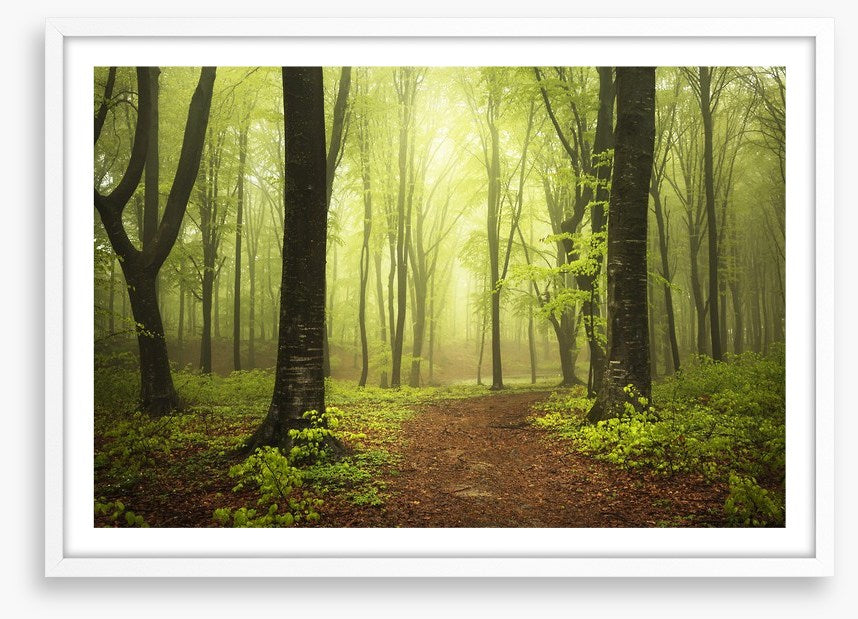 Between two trees