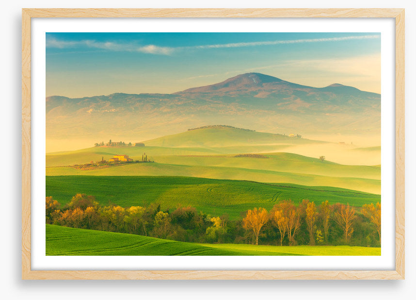 That Tuscan light