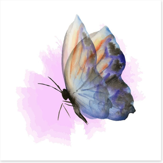 Aquarelle butterfly