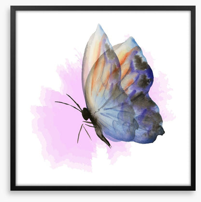 Aquarelle butterfly