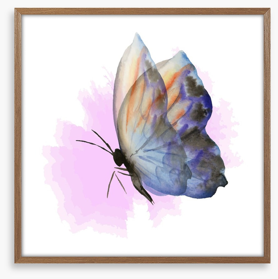 Aquarelle butterfly
