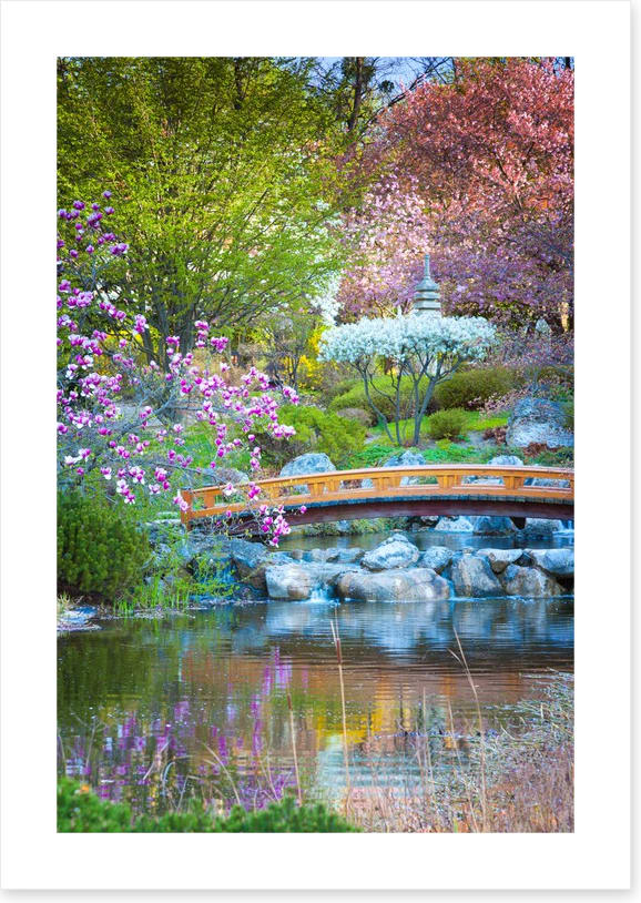 Garden of zen