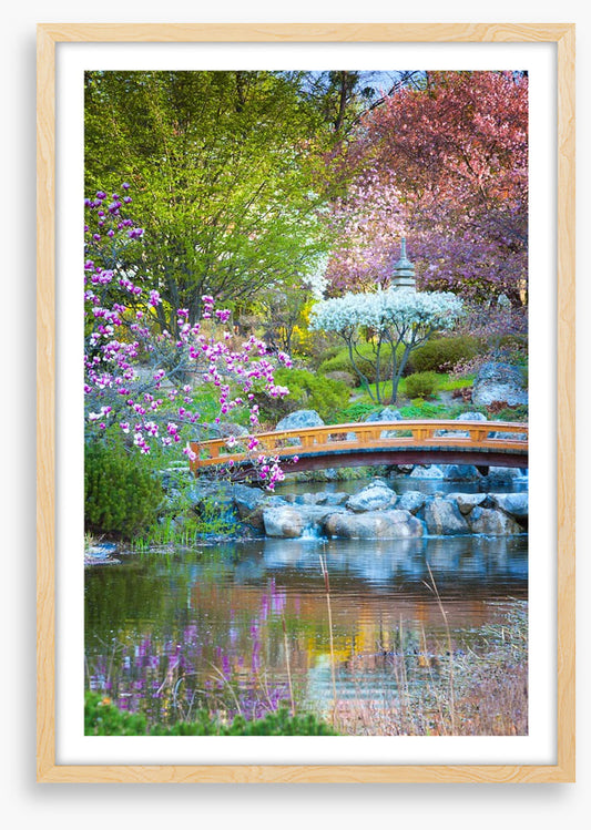 Garden of zen