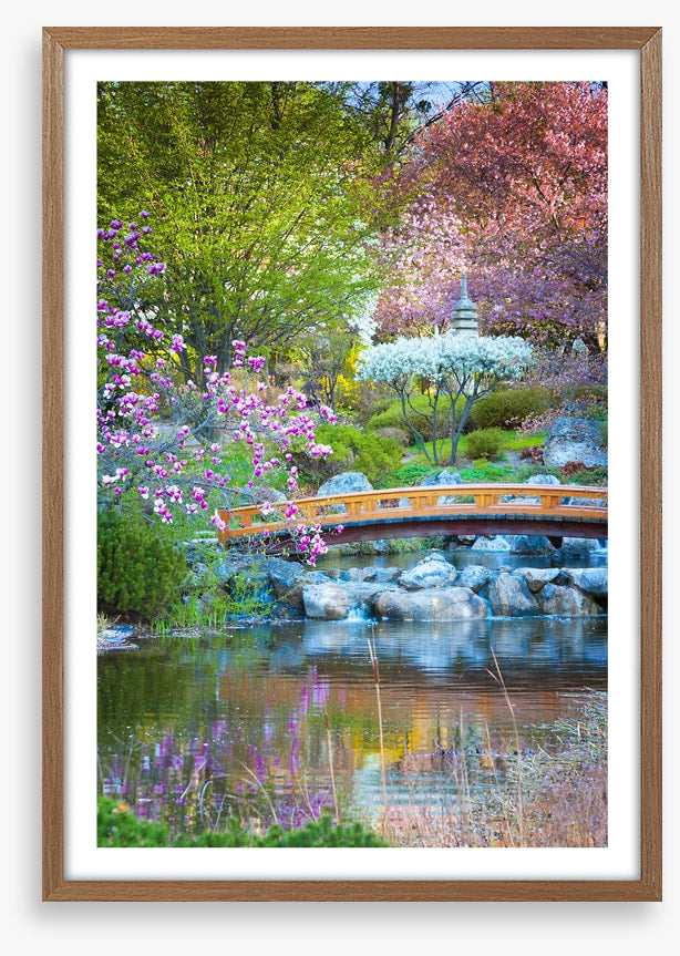 Garden of zen