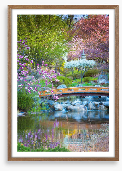 Garden of zen