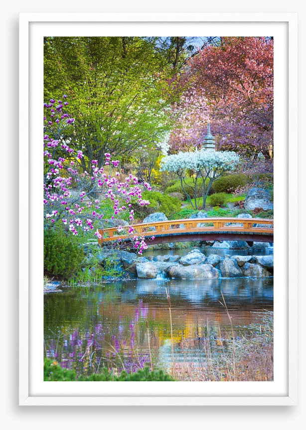 Garden of zen