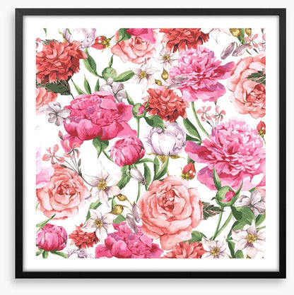 Peonies and Roses